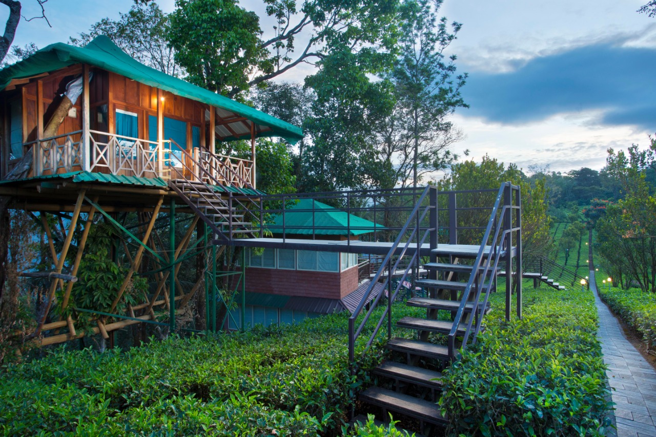 Read more about the article Dream catecher