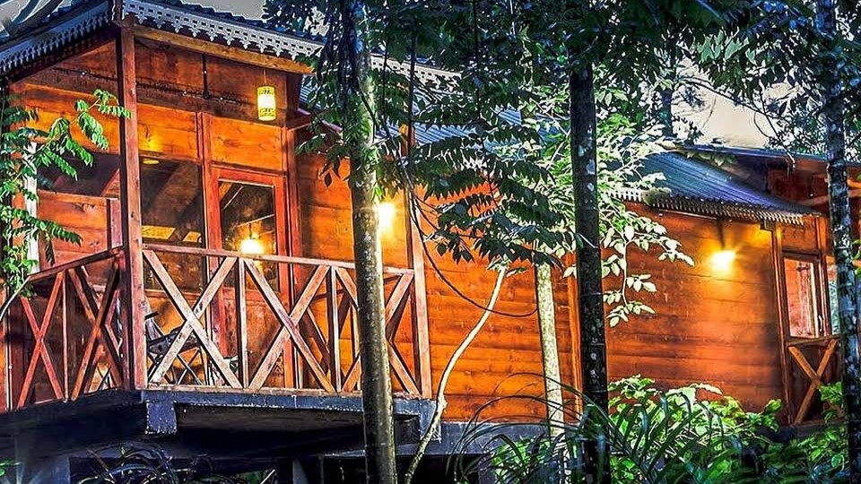 Read more about the article GLENDALE HOLIDAY HOMES WAYANAD