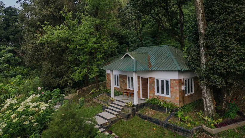 Read more about the article DEEP WOODS MUNNAR