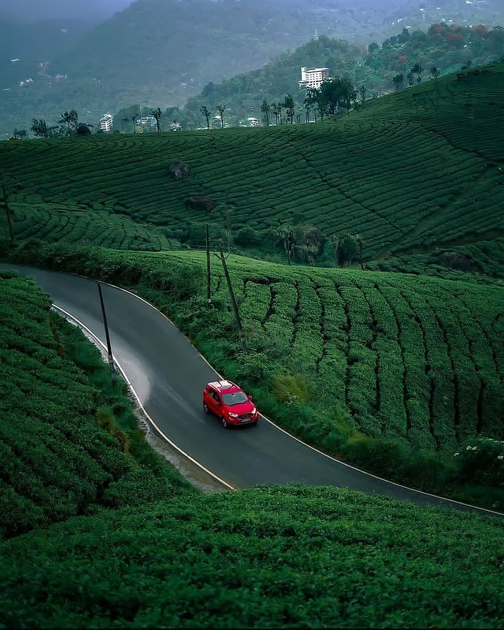 Kerala Nature